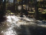 tn_pa140031.jpg
