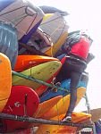 tn_pb030212.jpg