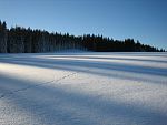 tn_IMG_2819.jpg