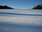 tn_IMG_2820.jpg