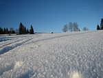 tn_IMG_2827.jpg