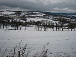 tn_IMG_2832.jpg