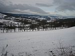 tn_IMG_2833.jpg