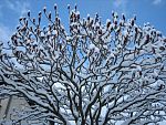 tn_IMG_2864.jpg
