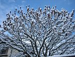 tn_IMG_2865.jpg