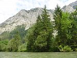 tn_dsc07619.jpg