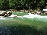 tn_dsc07678.jpg