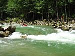 tn_dsc07682.jpg