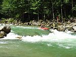 tn_dsc07683.jpg