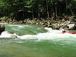 tn_dsc07684.jpg