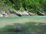 tn_dsc07712.jpg