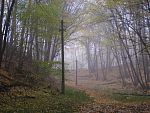 tn_pa256162.jpg