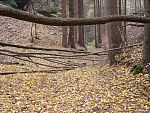 tn_pa256190.jpg