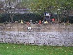 tn_pa266297.jpg