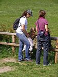 tn_P6101960.jpg