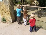 tn_P6101967.jpg