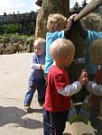 tn_P6101968.jpg