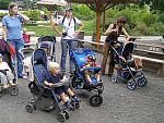 tn_P6102011.jpg