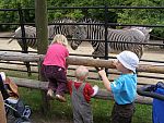 tn_P6102044.jpg