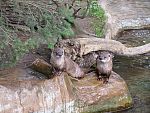 tn_P6102050.jpg