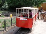 tn_P6102087.jpg