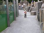 tn_P6102141.jpg
