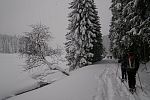 tn_2010_Alciny_hory05.jpg