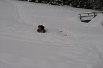 tn_2010_Alciny_hory09.jpg