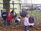 tn_ubytovna_nebo_farma.jpg