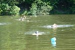 tn_triatlon_2010_05.jpg